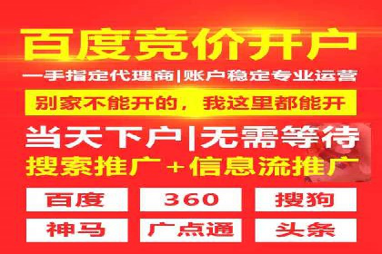 案例解读：网络推广与竞价策略